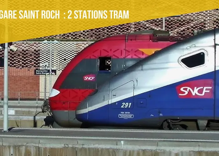 Le Rouge - Centre Historique - Corum - Tramway - Climatisation Montpellier